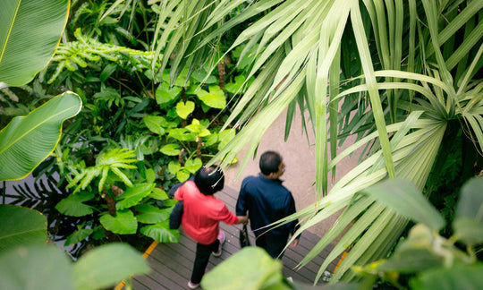 老後はハワイで。2拠点生活で叶える“理想のセカンドライフ”とは？