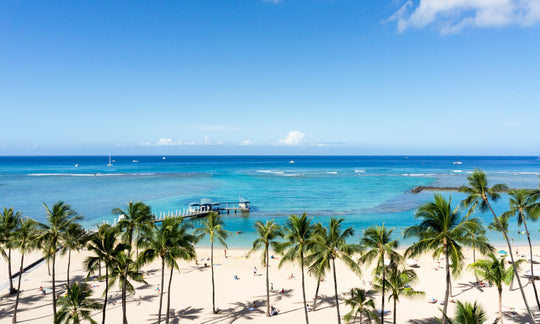 ハワイのスタートアップ企業に投資、ハワイを拠点に資産運用
